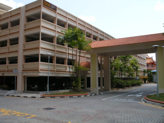Blk 230A Tampines Street 21 (S)529398 #85172